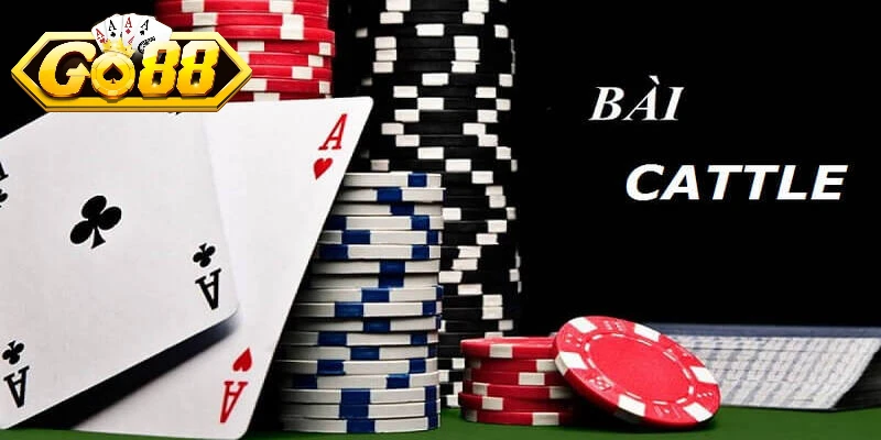 Tổng quan về Catte Go88