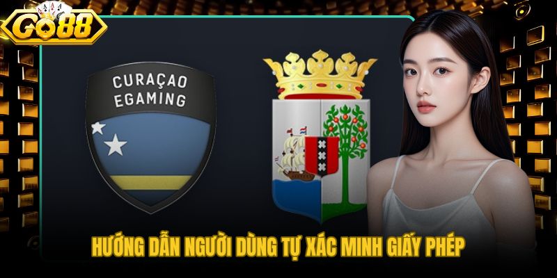 Hướng dẫn người dùng tự xác minh giấy phép